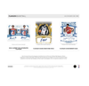 2023-24 Panini Flawless Basketball Hobby 2-Box Case