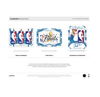 2023-24 Panini Flawless Basketball Hobby 2-Box Case