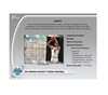 2024-25 Bowman Chrome University Basketball Mega 20-Box Case