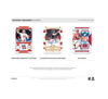 2024 Panini National Treasures Football Hobby 4-Box Case
