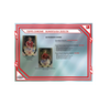 2025-26 Topps Chrome Bundesliga Soccer Breaker's Delight 6-Box Case
