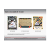 2025 Leaf Seasons In The Sun Baseball 10-Box Case