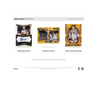 2025 Panini Select WNBA Basketball Hobby Mega 20-Box Case (Pink Ice Prizm's)