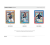 2025 Panini Stars and Stripes USA Baseball H2 20-Box Case