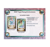 2025 Topps Disney Wonder Mega 20-Box Case