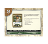 2025 Topps Museum Collection Baseball Hobby 8-Box Case