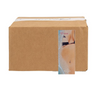 2025 Benchwarmer Girls of Summer Series 2 16-Box Case