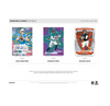 2025 Panini Rookies & Stars Football Hobby 14-Box Case
