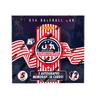 2025 Panini Stars and Stripes USA Baseball H2 20-Box Case