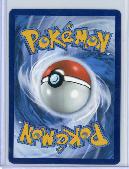 Zekrom ex Pokémon Black Bolt Black & White Rare #172/086